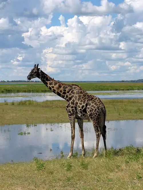 A photo of Botswana