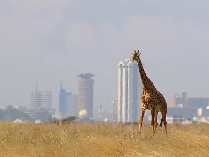 Nairobi National Park, Kenya