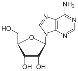 Chemical structure of adenosine