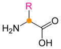 A skeletal formula of a general α-amino acid. The α-carbon is displayed as an orange circle