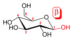 β-D- glucopyranose