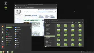 Cinnamon 4.4.8 on Linux Mint 19.3