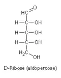 D-ribose