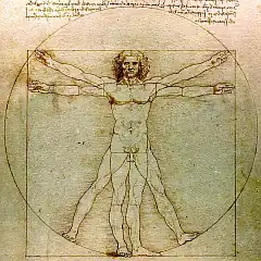 Da Vinci Vitruve Luc Viatour colouradjusted crop240