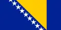 Bosnian flag