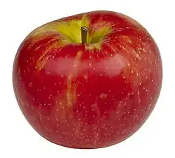 A traditional red apple with a brown stalk at the top