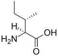 L-isoleucine Ile, I