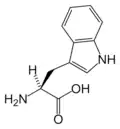 L-Tryptophan (Trp / W)