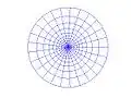 Discrete coordinate system in a circular disc given by log-polar coordinates (n = 25)