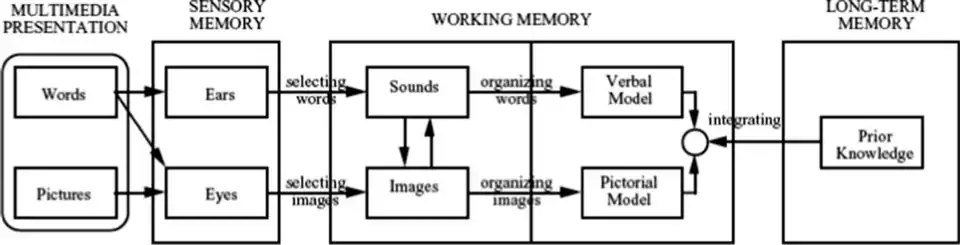 Acquired from http://www.laval.k12.nf.ca/pub/?n=MUN6615.LearningEffects