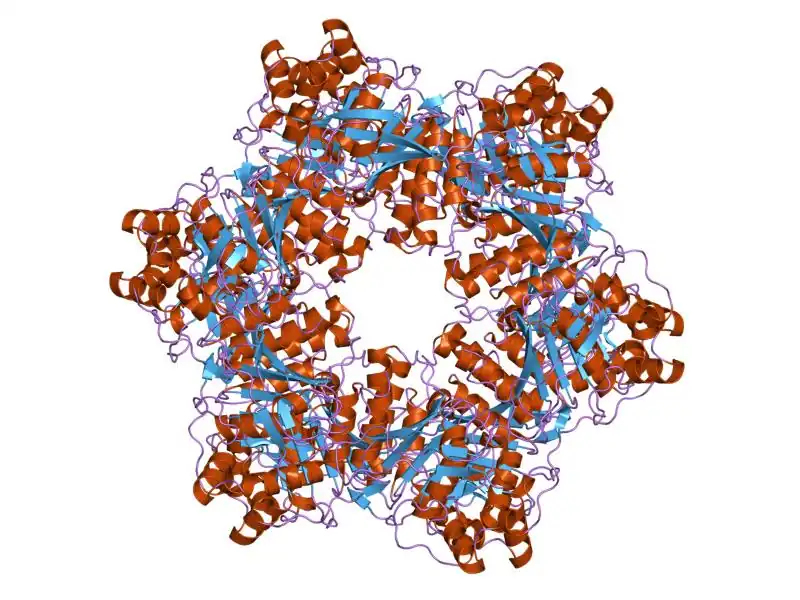 PDB 1g8y EBI