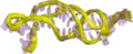 3D representation of part of the telomerase RNA component. This is the solution structure of the P2b-P3 pseudoknot from human telomerase RNA