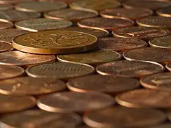 Copper electrodes (a collection of copper pennies).