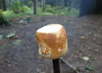 A fire-toasted marshmallow
