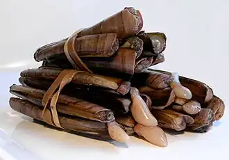 Atlantic razor clams
