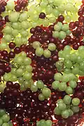 Red and green grapes