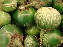 Green eggplant