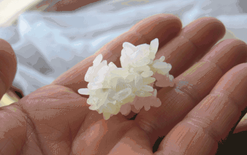 Glutinous white rice (steamed)