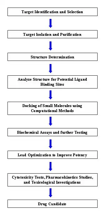 Drug Discovery Timeline