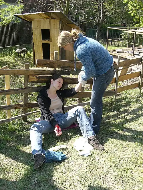 Illustration suicide by training of czech lifeguard in Prague. Czech Republic.