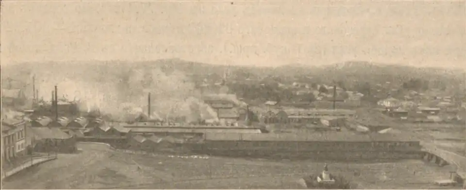 Общий вид Нижне-Тагильского завода