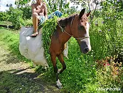 Житель деревни, который может стать вашим проводником