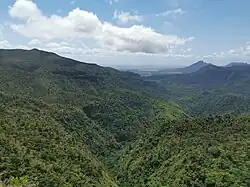 Здесь можно заблудиться