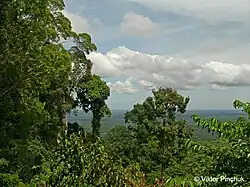 Вид с вершины (2)