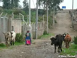 Кабанаконде — отправной пункт маршрута