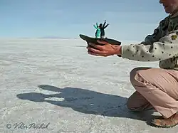 Поймал! (Боливия, 2015) Фото сделано в Латиноамериканской экспедиции