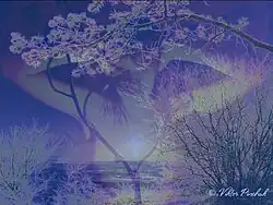 Наваждение (2005)