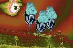 Вера, Надежда, Любовь