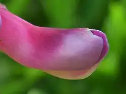 Доброе утро!