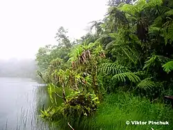 Вид с помоста вправо