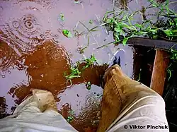 Рядом с помостом