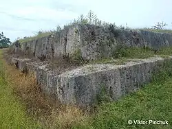 Paepae o Tele'a (фрагмент)