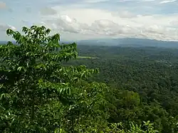 Вид с вершины (1)