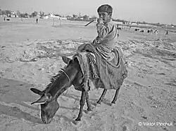 Наездник (Мазари-Шариф, Афганистан, 2008) Фото сделано в Афганской экспедиции