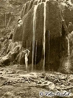 Серебряные струи (2011)