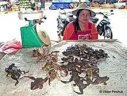 Еда, пока живая (Лаос) Фото сделано в «Папуасской» экспедиции