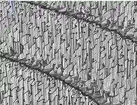 Detailed view at very high magnification. Wall thickness of the vertical structures is about 10&nbsp;µm.