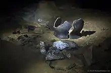 Image 16Che Chem Ha Cave (from Tourism in Belize)