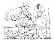 Image 47Tesem, an ancient Egyptian sight-hound (from Dog breed)
