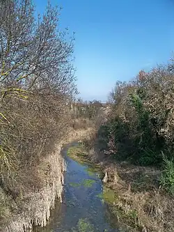 Эз в Грамбуа