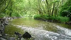 Река около города Кладруби летом 2008 года