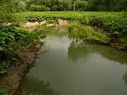 Среднее течение реки возле Гавиржова.