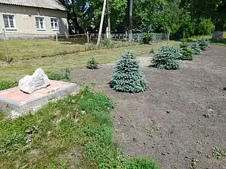 Аллея выпускников