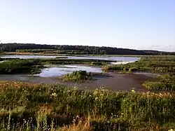 Аложа у села Грибовка