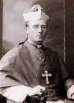 Антон Питер Франц ван Вельсен