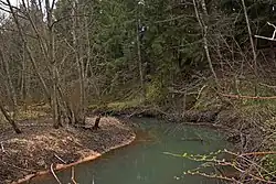 Вид на реку весной 2017 года